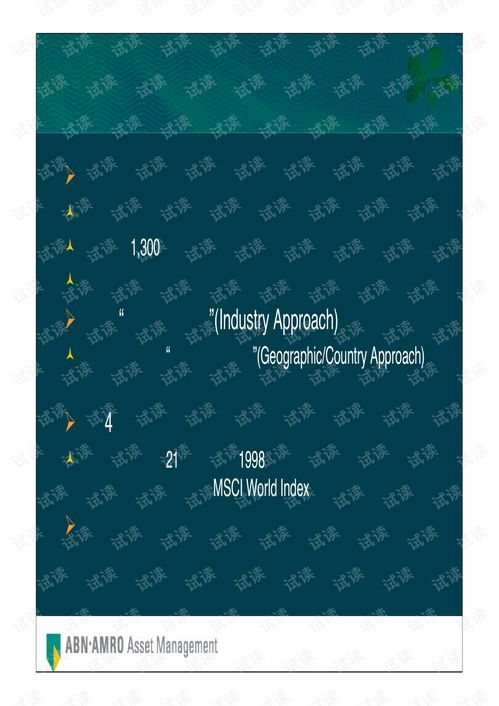 荷銀投資管理公司全球首選投資策略商業(yè)計劃書精品模板.pdf